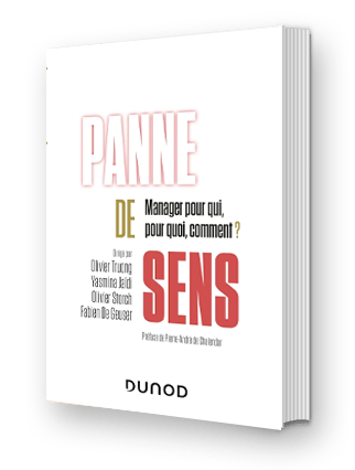 panne-de-sens